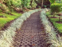 Un jardin avec une allée
