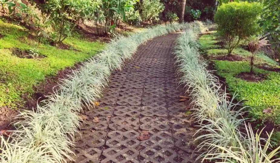 Un jardin avec une allée