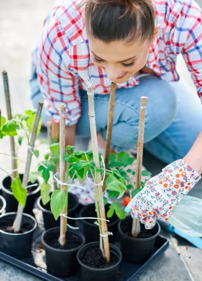 Une femme qui met ses plantes dans de petit pot sur un plateau