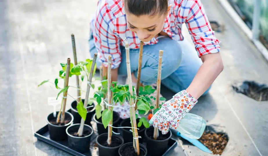 Une femme qui met ses plantes dans de petit pot sur un plateau