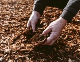 Un homme qui met de la paille sur le sol