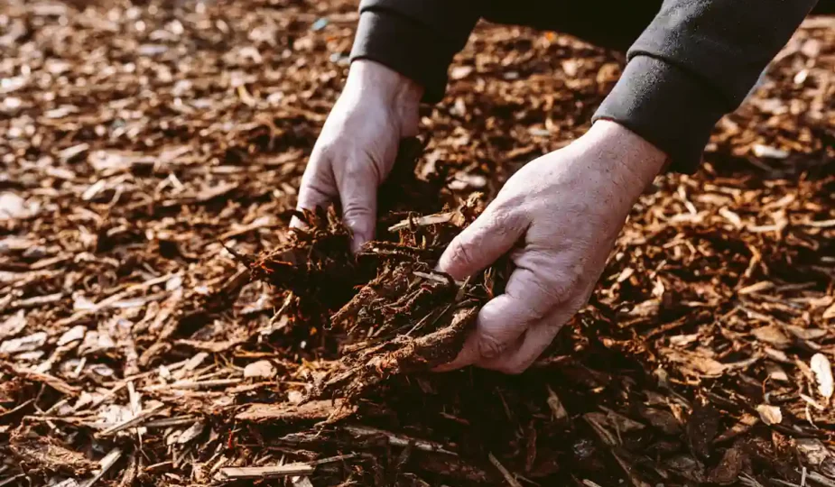 Un homme qui met de la paille sur le sol