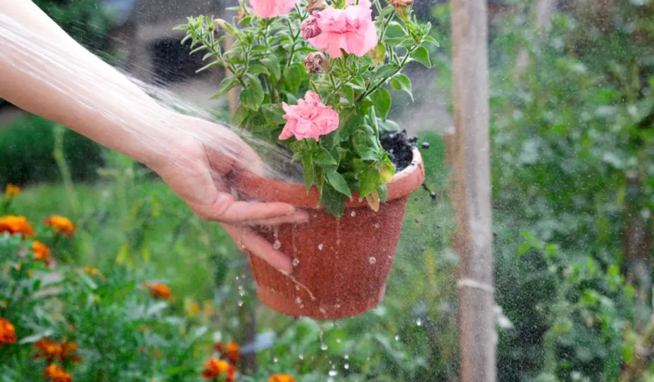 Une personne qui trompe un pot de fleur sous l'eau