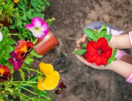 Une femme qui tient une fleur dans ses mains proches du sol