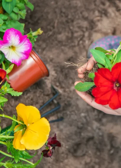 Une femme qui tient une fleur dans ses mains proches du sol
