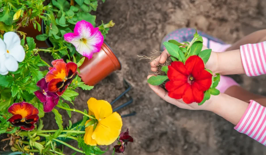 Une femme qui tient une fleur dans ses mains proches du sol