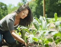 Une femme qui plante des légumes dans le sol