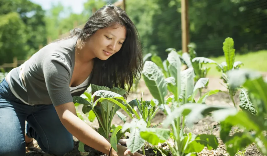 Une femme qui plante des légumes dans le sol