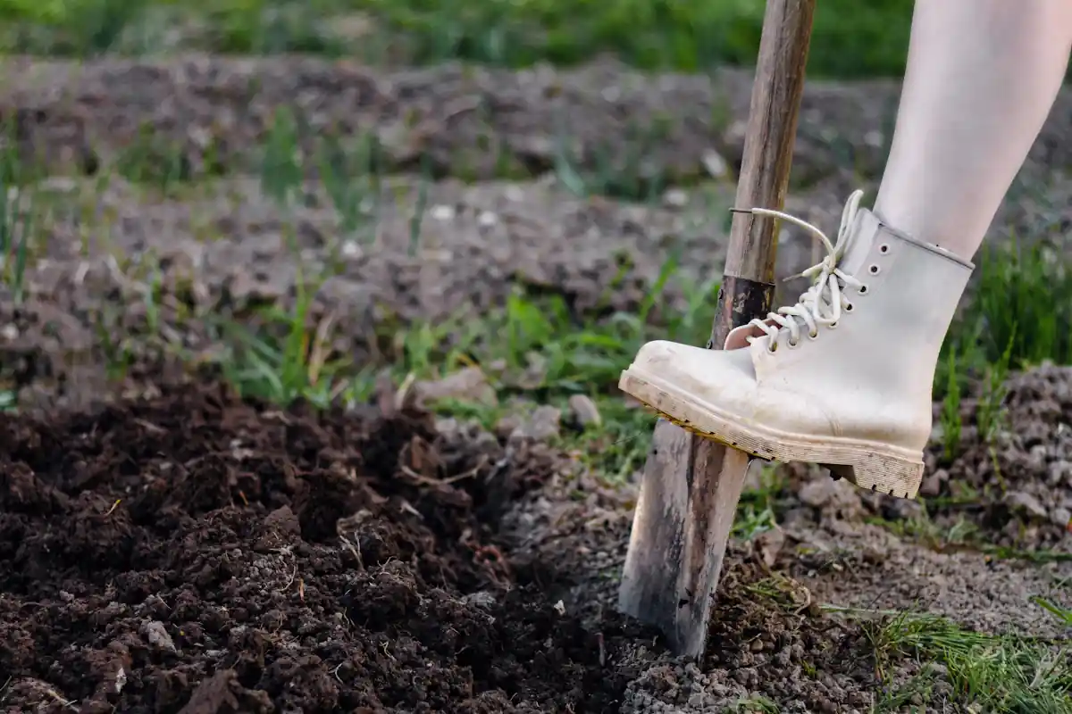 Une personne qui creuse un trou pour planter un arbre