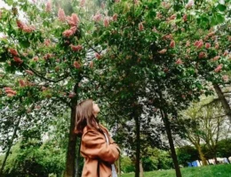 Une personne qui regarde un grand arbre dans un jardin