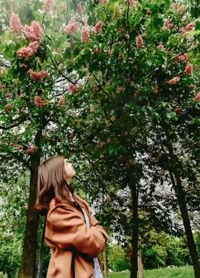 Une personne qui regarde un grand arbre dans un jardin