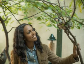 Une femme qui regarde des oiseaux dans un arbuste