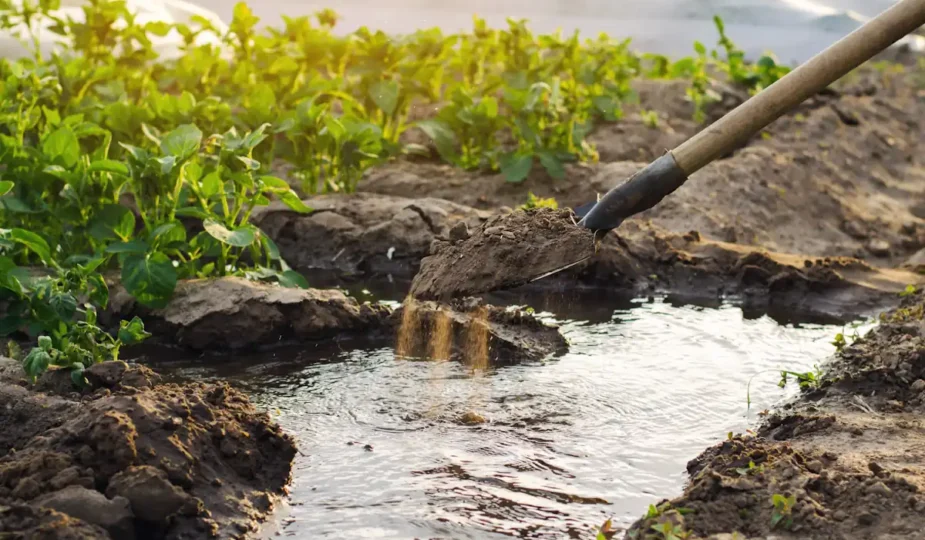 Une personne qui se débarrasse de l'eau dans vide sanitaire terrain argileux