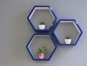 Elegant hexagonal shelves with potted plants create a modern and stylish home decor statement.