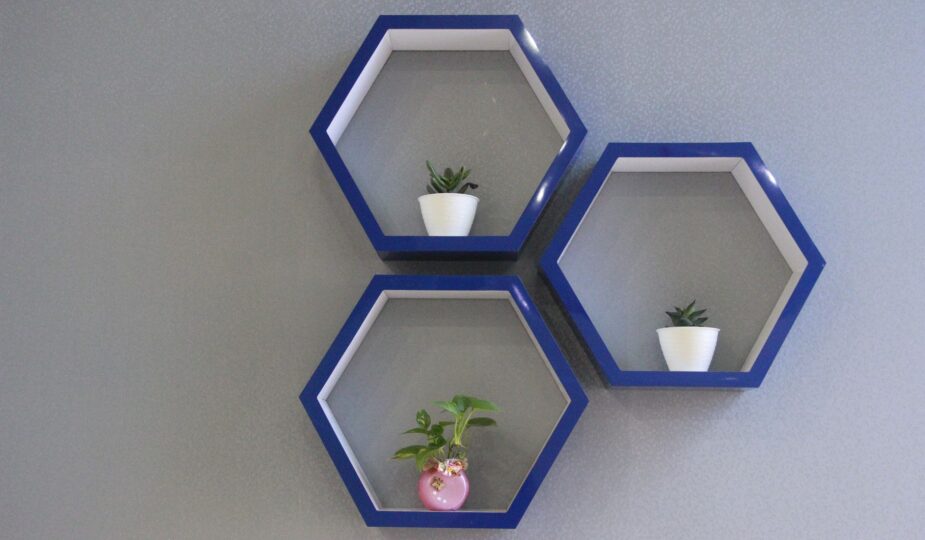 Elegant hexagonal shelves with potted plants create a modern and stylish home decor statement.
