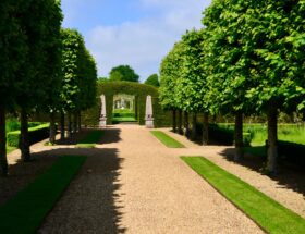 A picturesque garden pathway flanked by symmetrical trees and hedges under a clear sky.
